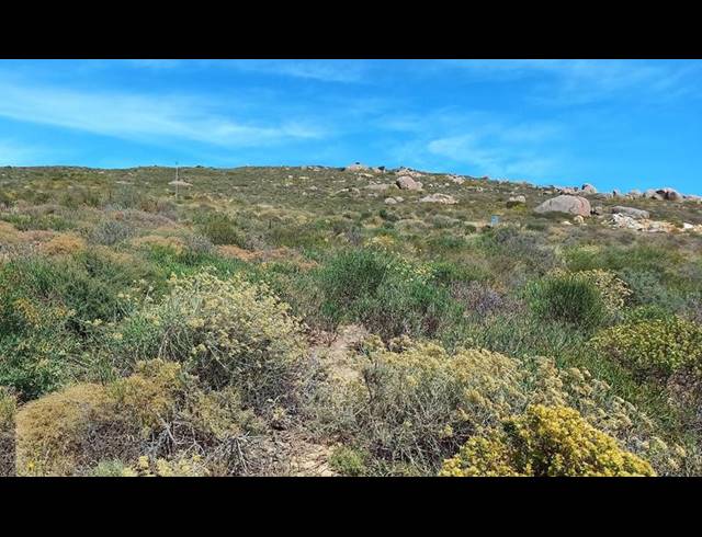 LAND FOR SALE IN ST HELENA VIEWS